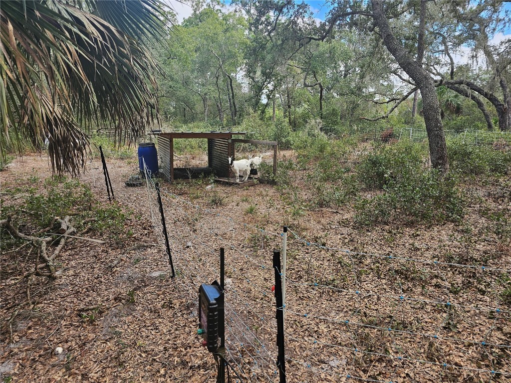 45070 Wild Acres Trail Paisley FL 32767 - FRIENDLY POND G5103115 image11