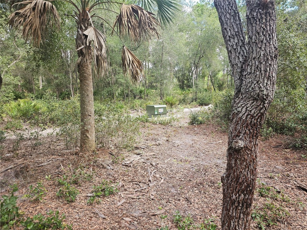 45070 Wild Acres Trail Paisley FL 32767 - FRIENDLY POND G5103115 image14