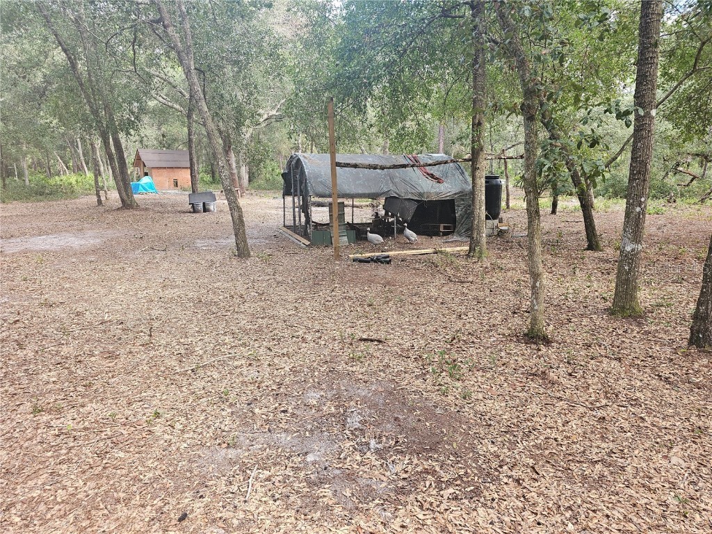 45070 Wild Acres Trail Paisley FL 32767 - FRIENDLY POND G5103115 image20