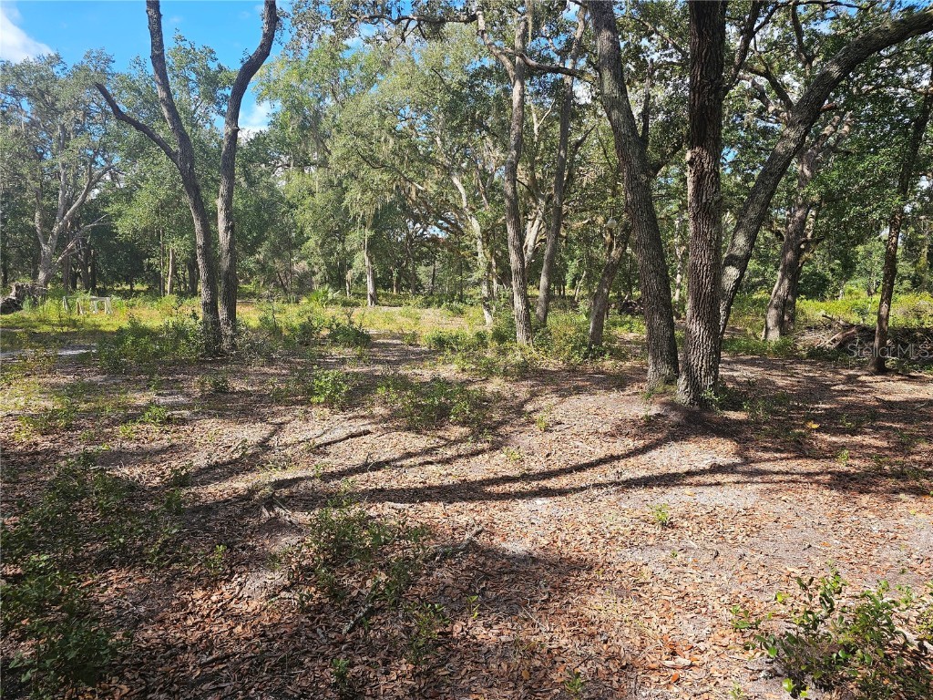 45070 Wild Acres Trail Paisley FL 32767 - FRIENDLY POND G5103115 image21