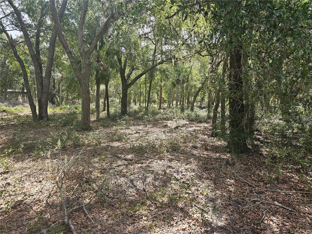 45070 Wild Acres Trail Paisley FL 32767 - FRIENDLY POND G5103115 image22