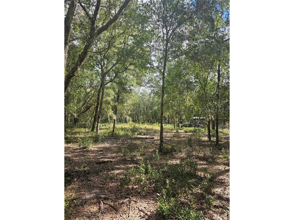 45070 Wild Acres Trail Paisley FL 32767 - FRIENDLY POND G5103115 image23