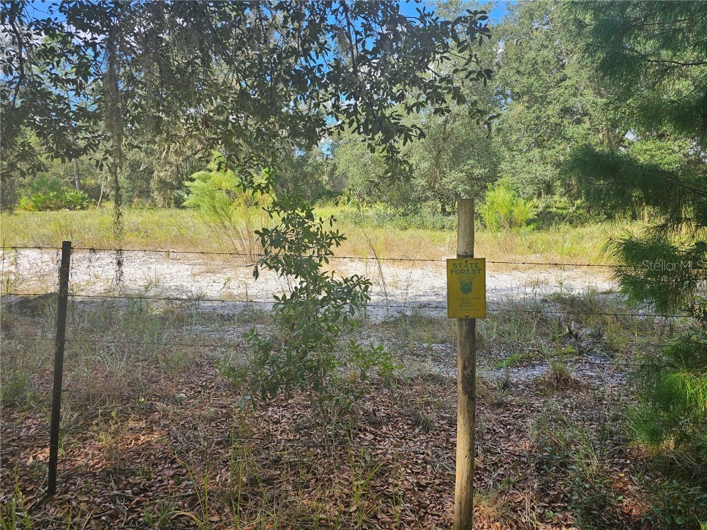 45070 Wild Acres Trail Paisley FL 32767 - FRIENDLY POND G5103115 image24