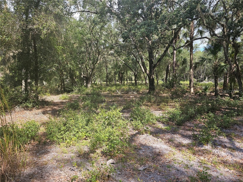 45070 Wild Acres Trail Paisley FL 32767 - FRIENDLY POND G5103115 image25