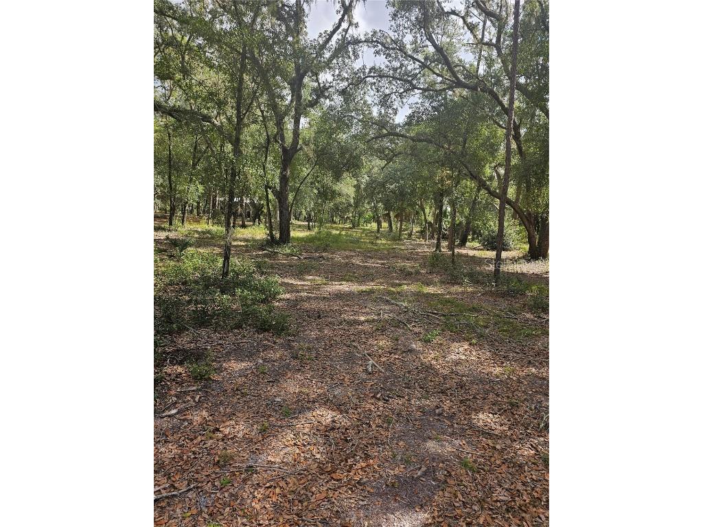 45070 Wild Acres Trail Paisley FL 32767 - FRIENDLY POND G5103115 image26