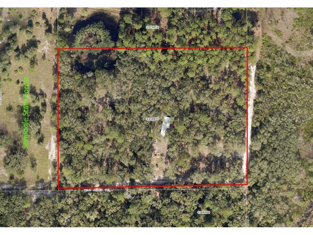 45070 Wild Acres Trail Paisley FL 32767 - FRIENDLY POND G5103115 image3