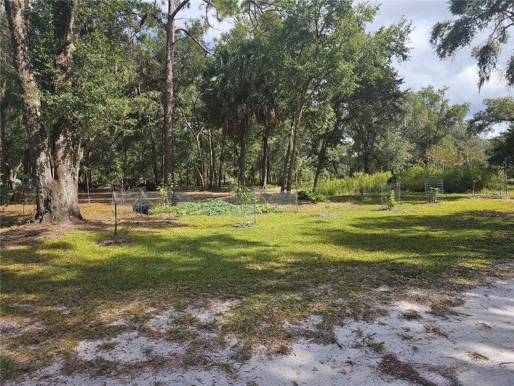 45070 Wild Acres Trail Paisley FL 32767 - FRIENDLY POND G5103115 image7
