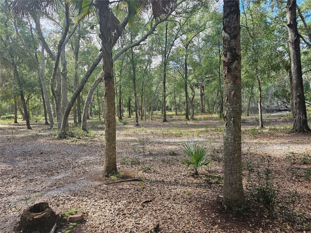 45070 Wild Acres Trail Paisley FL 32767 - FRIENDLY POND G5103115 image8