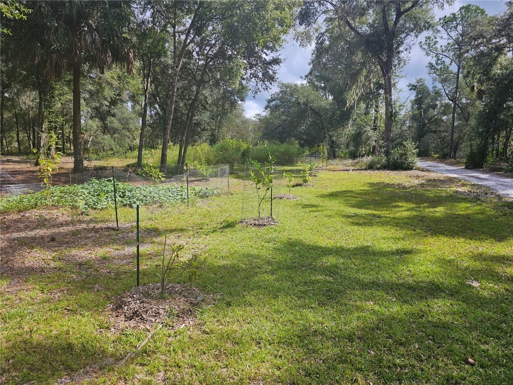 45070 Wild Acres Trail Paisley FL 32767 - FRIENDLY POND G5103115 image9