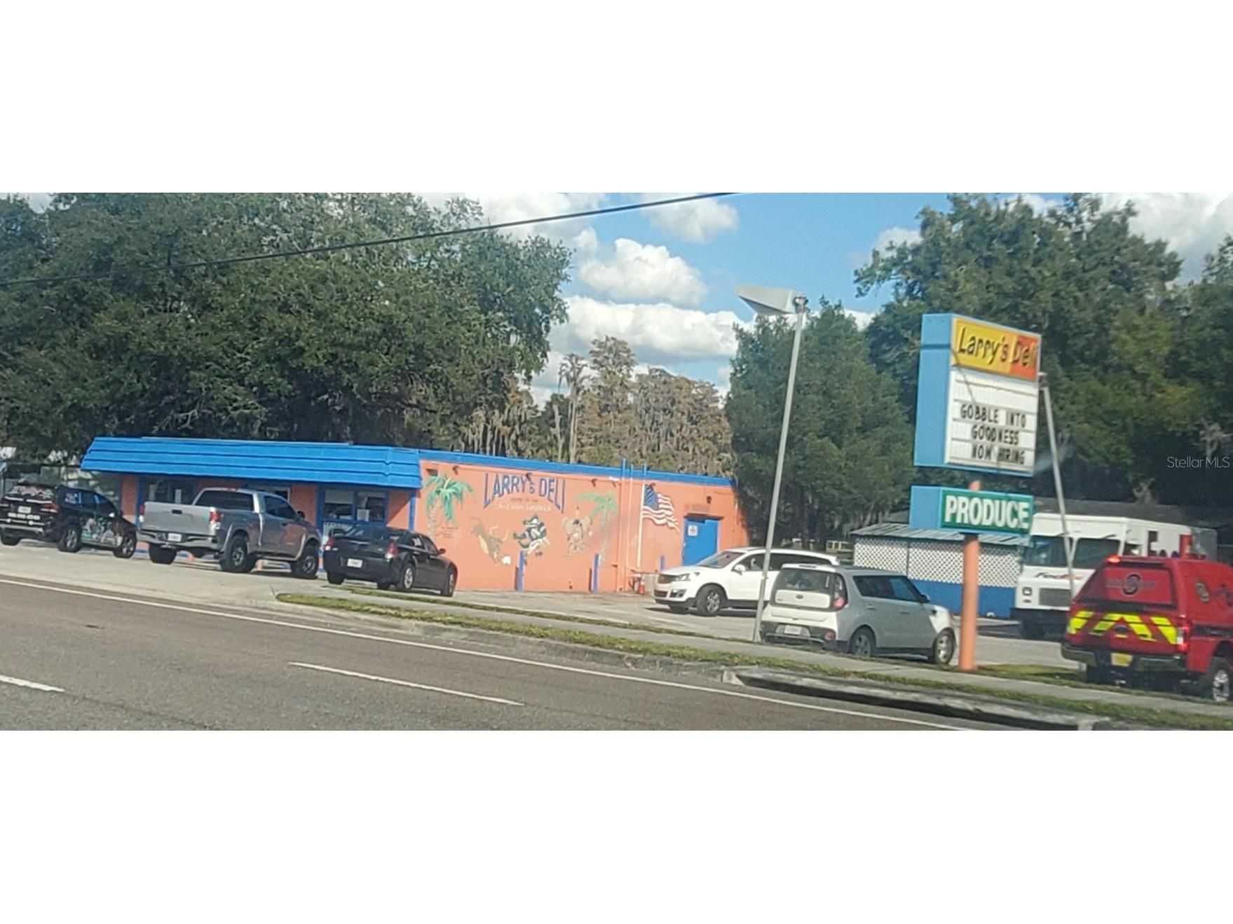 4508 Land O Lakes Boulevard Land O Lakes FL 34639 - Bell Lake U8144804 image1