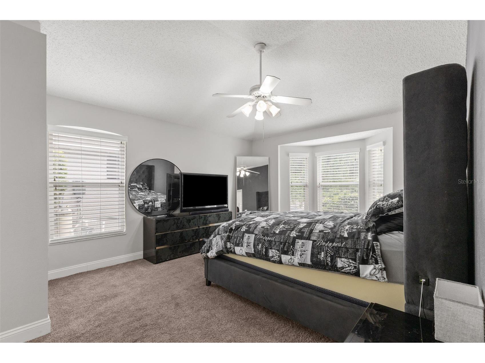 4508 New Dawn Court Lutz FL 33558 TB8501590 image20