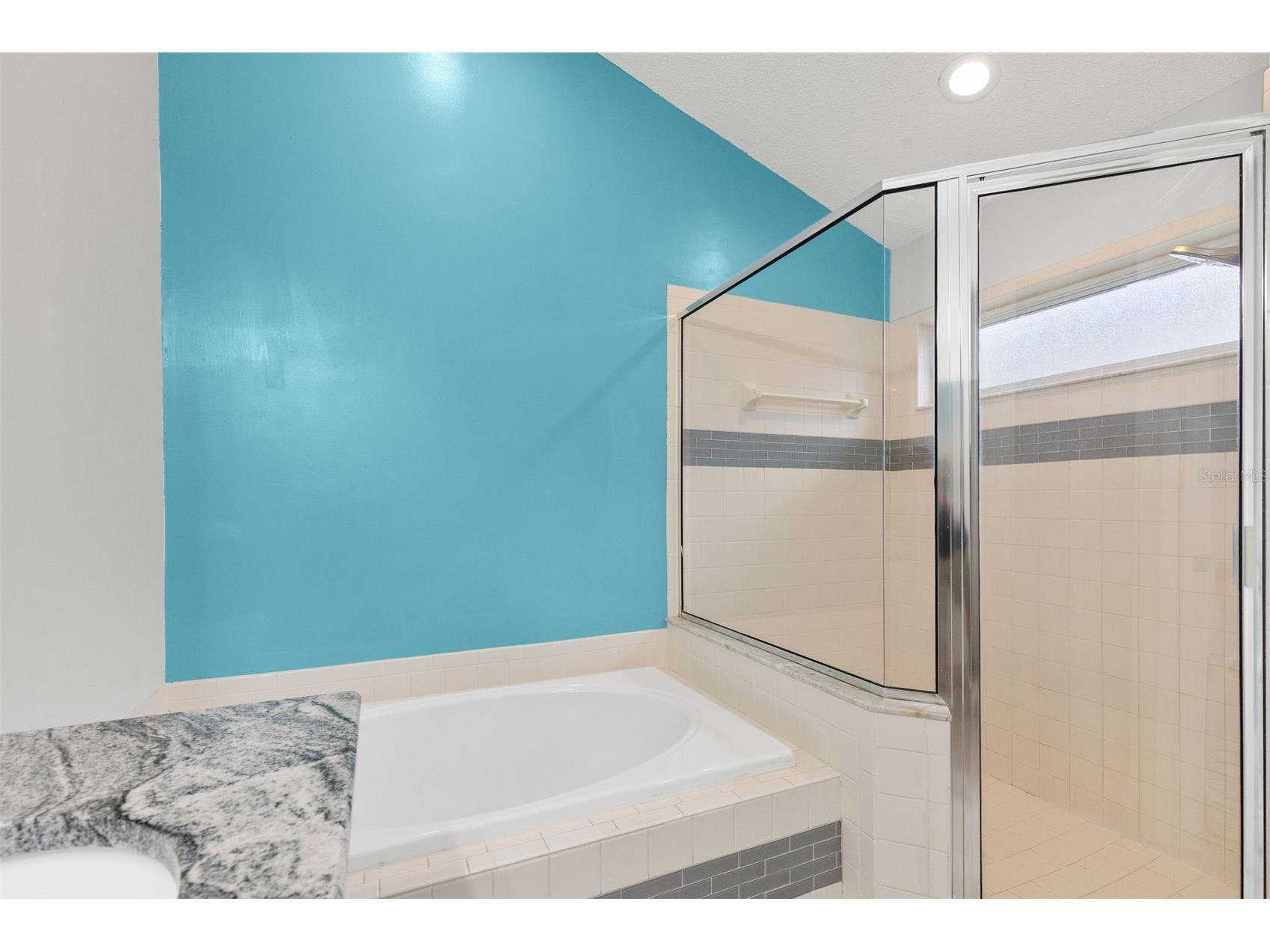 4508 New Dawn Court Lutz FL 33558 TB8501590 image24
