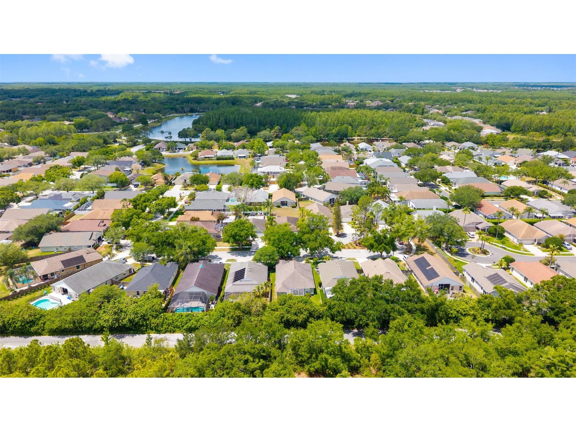 4508 New Dawn Court Lutz FL 33558 TB8501590 image35
