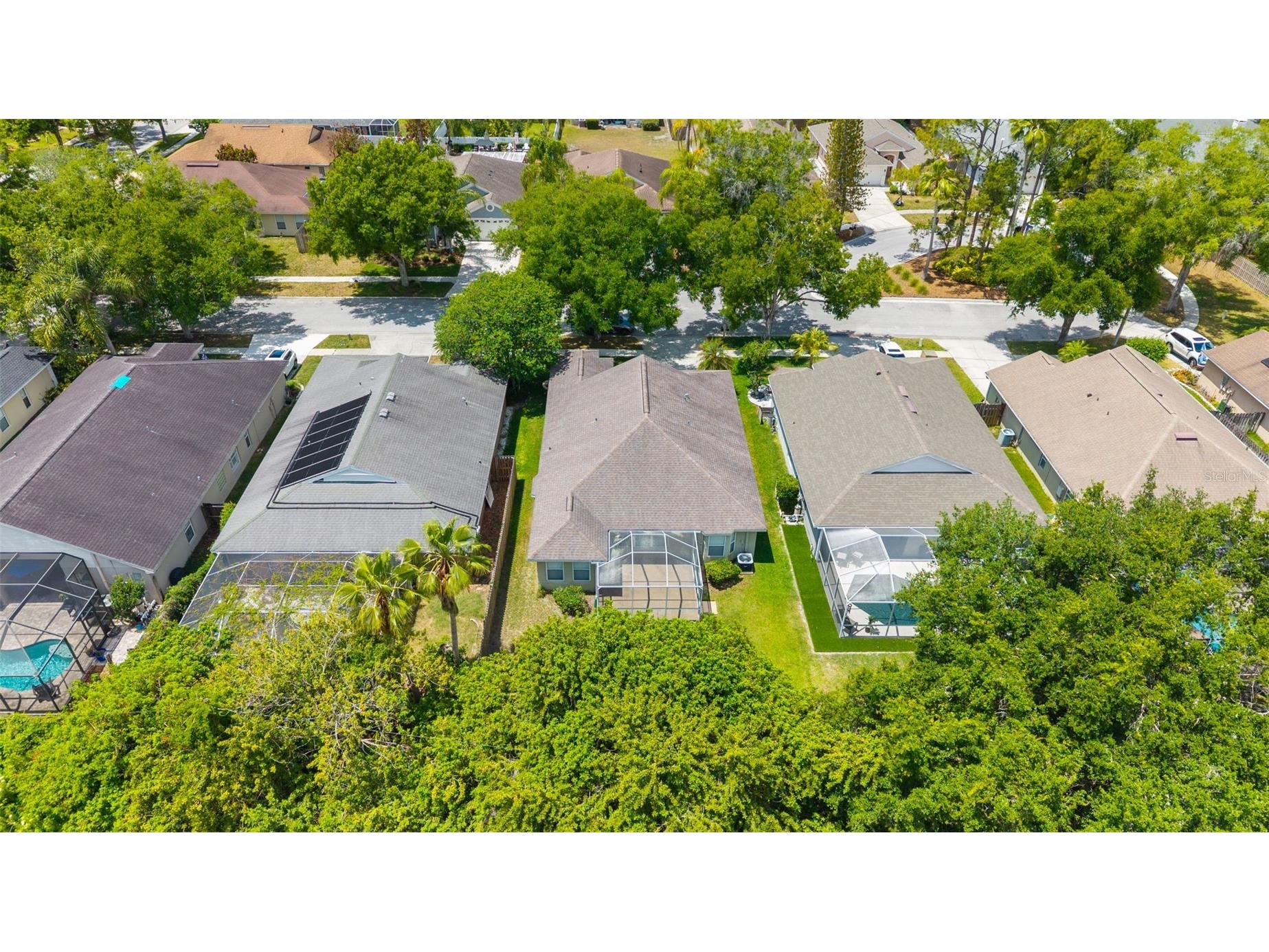 4508 New Dawn Court Lutz FL 33558 TB8501590 image36