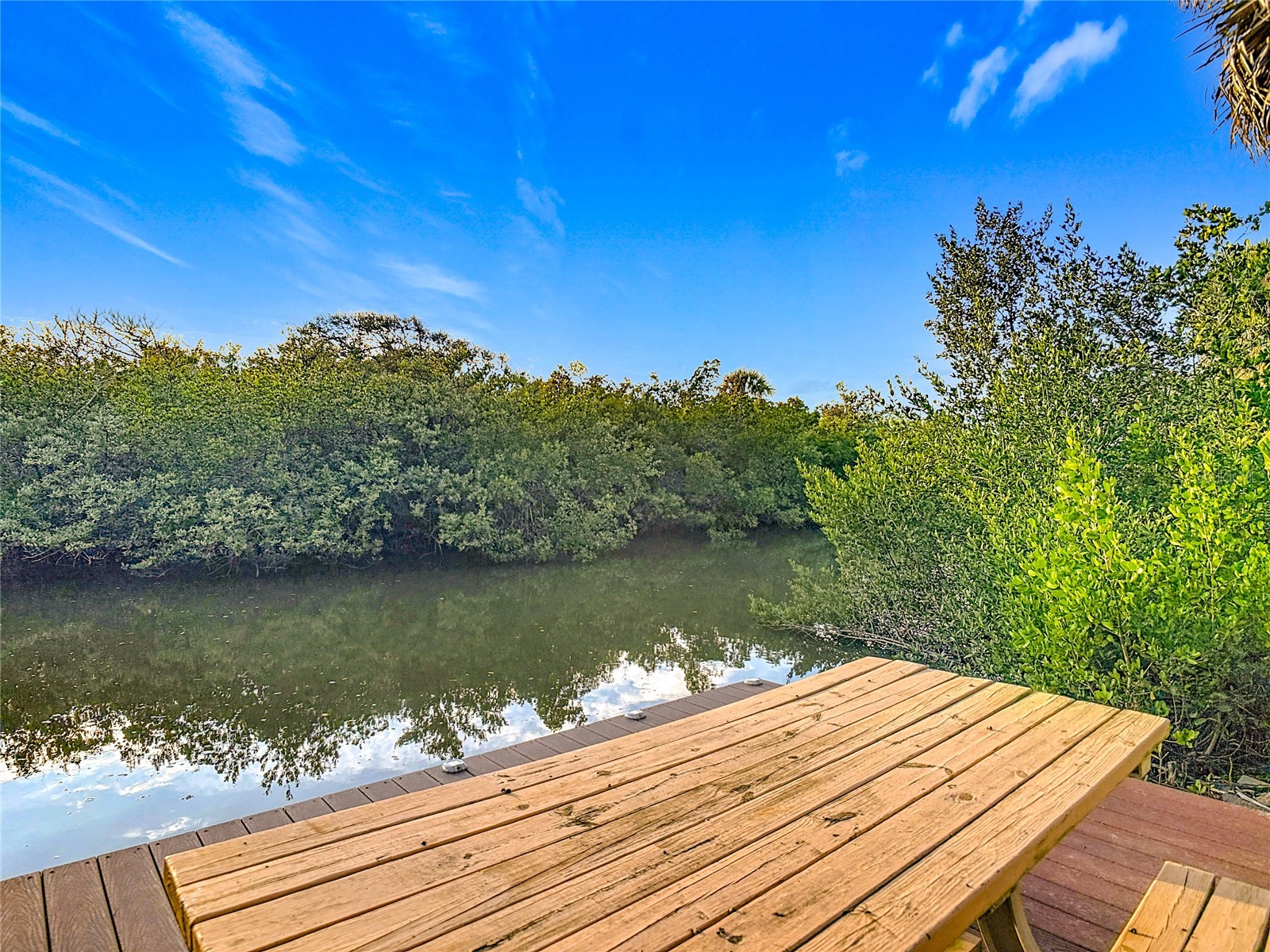 4508 Saxon Drive New Smyrna Beach FL 32169 NS1087739 image73