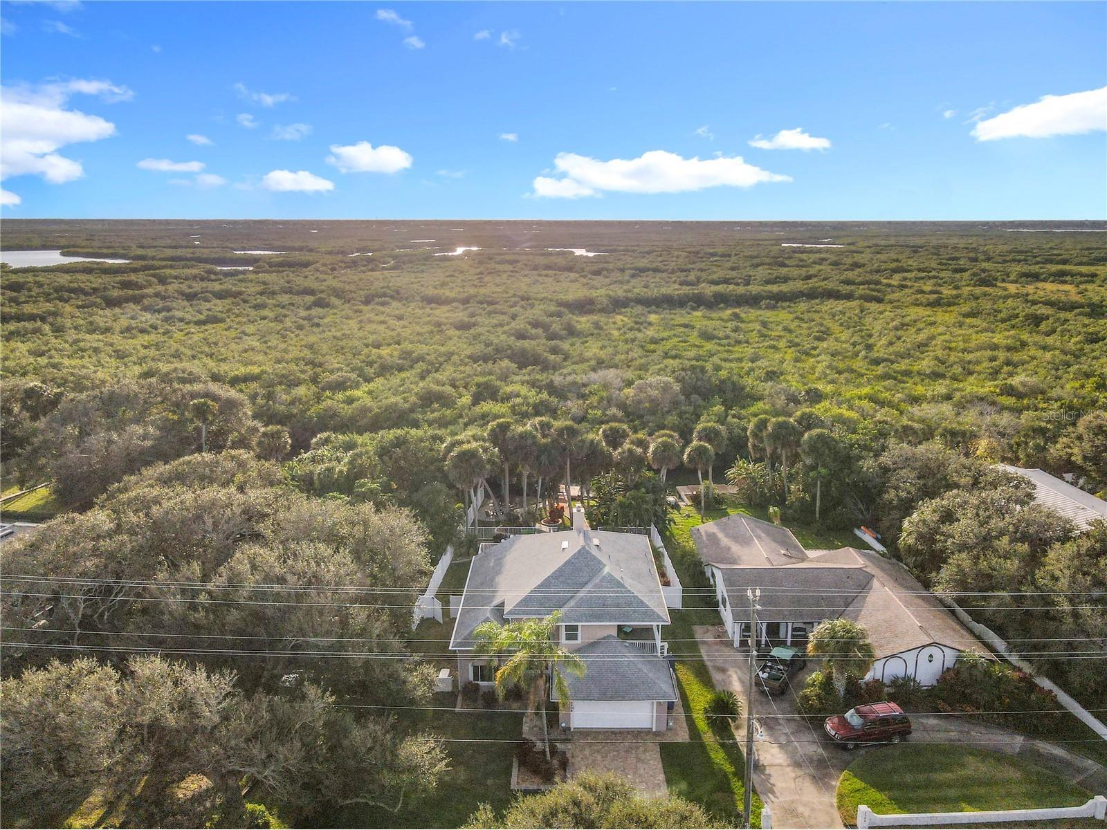 4508 Saxon Drive New Smyrna Beach FL 32169 NS1087739 image86