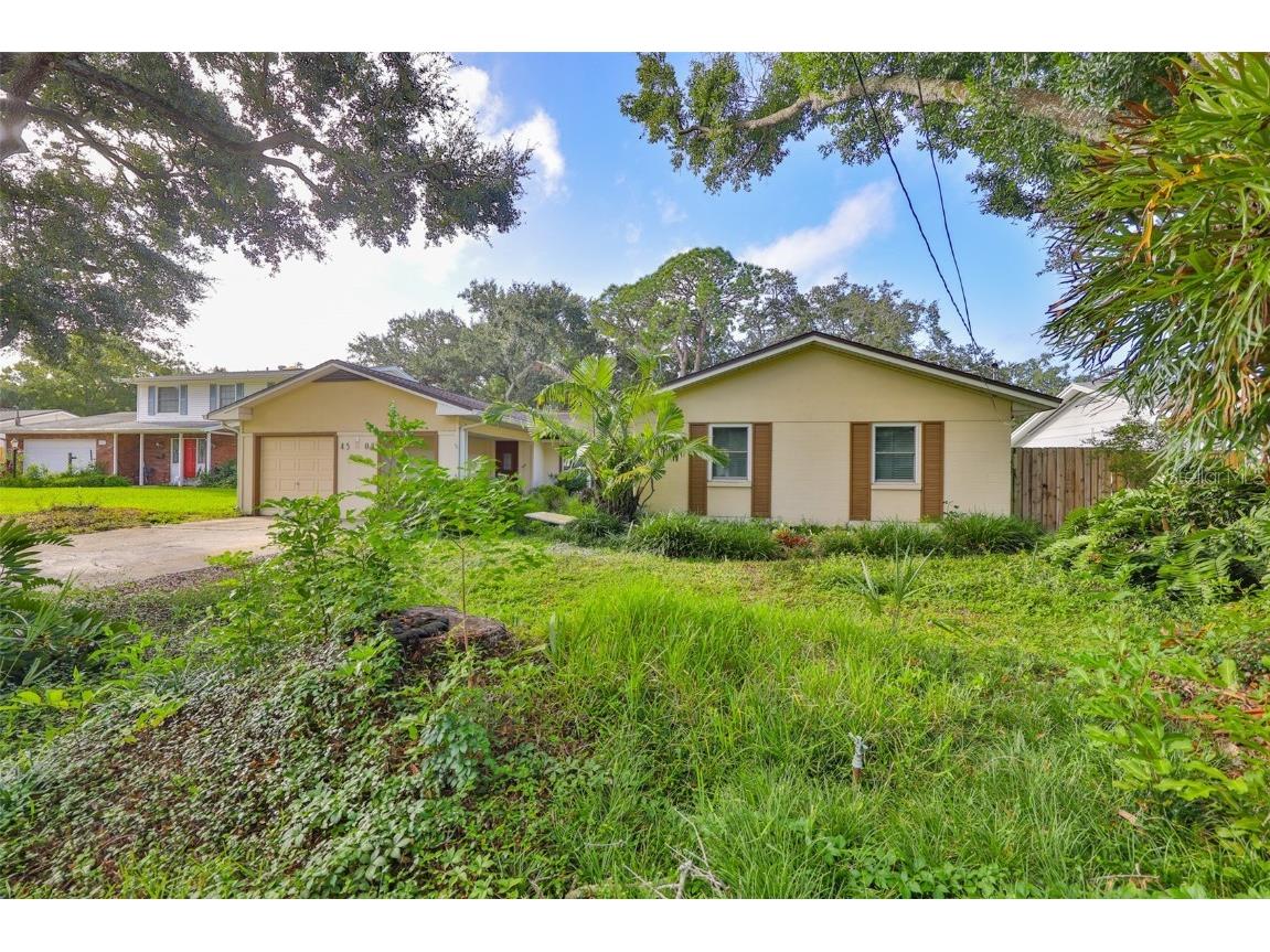 4508 W San Rafael Street Tampa FL 33629 TB8434888 image34