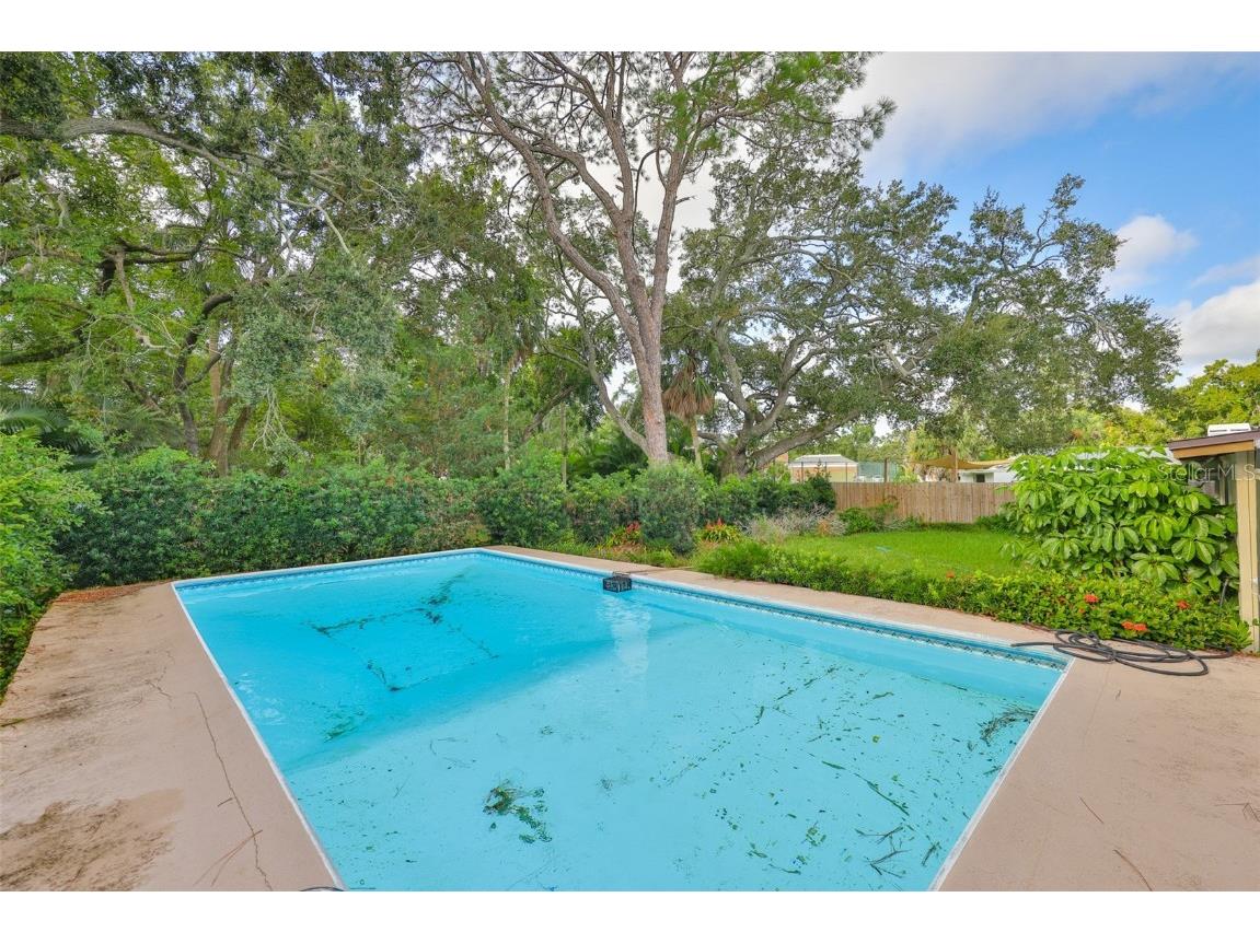 4508 W San Rafael Street Tampa FL 33629 TB8434888 image5