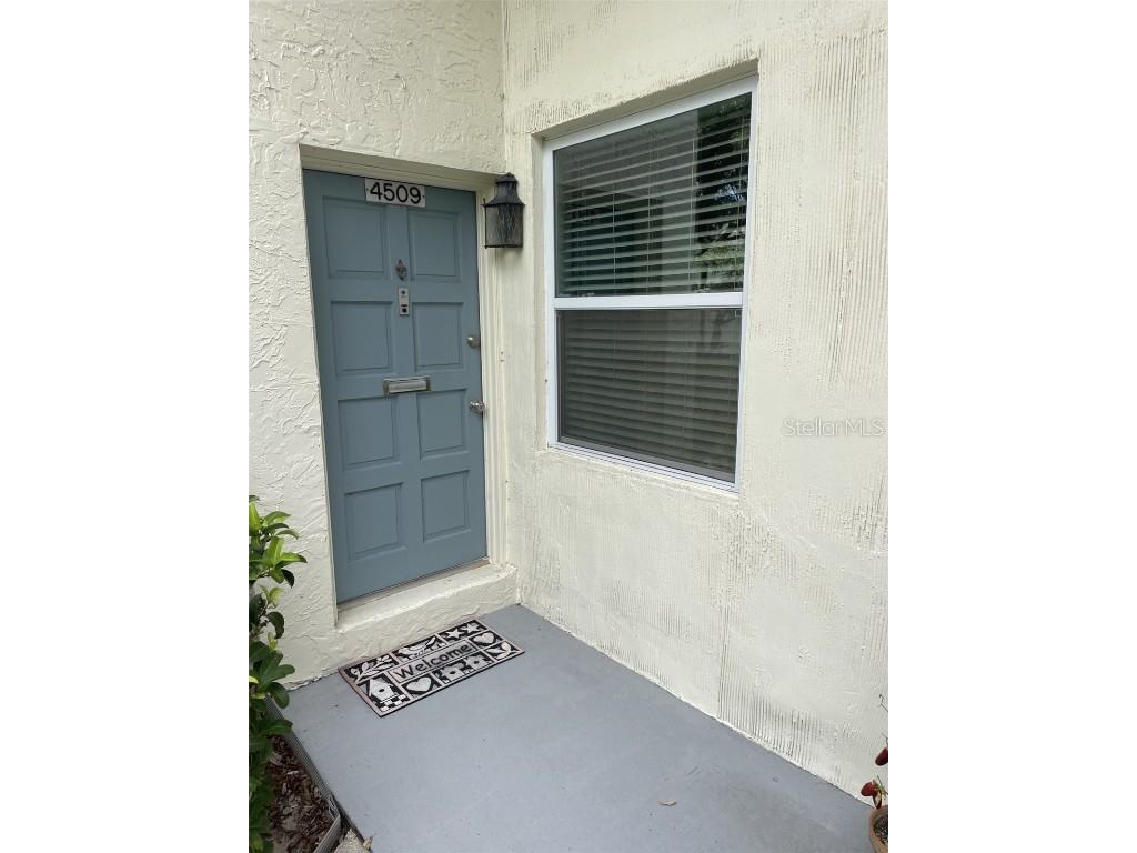 4509 La Carmen Court #4509 Tampa FL 33611 P4926641 image1