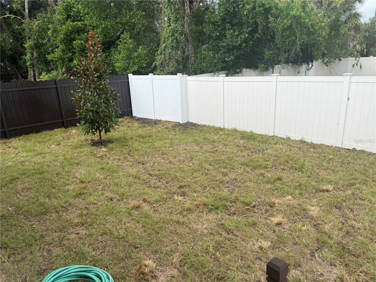 4509 N 39th Street Tampa FL 33610 TB8529017 image42