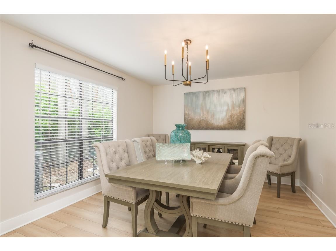 4509 Old Orchard Drive Tampa FL 33618 TB8426658 image18