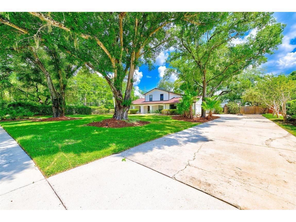 4509 Old Orchard Drive Tampa FL 33618 TB8426658 image25