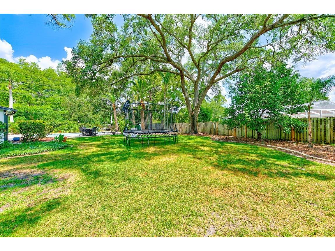 4509 Old Orchard Drive Tampa FL 33618 TB8426658 image26