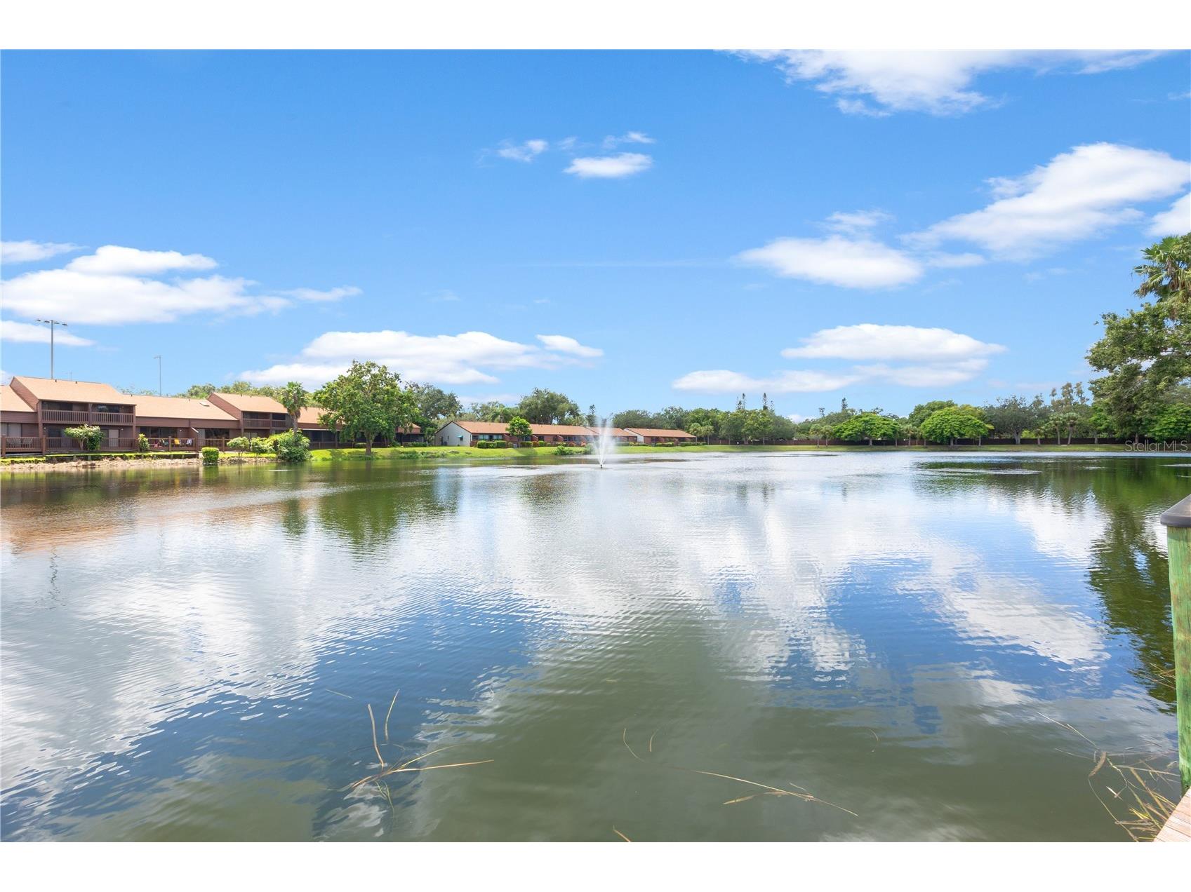 4509 Park Lake Terrace N #4509 Bradenton FL 34209 A4683868 image32