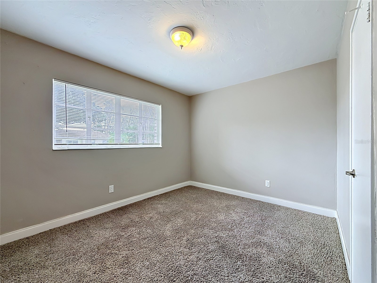 4509 S Hale Avenue Tampa FL 33611 TB8507153 image30