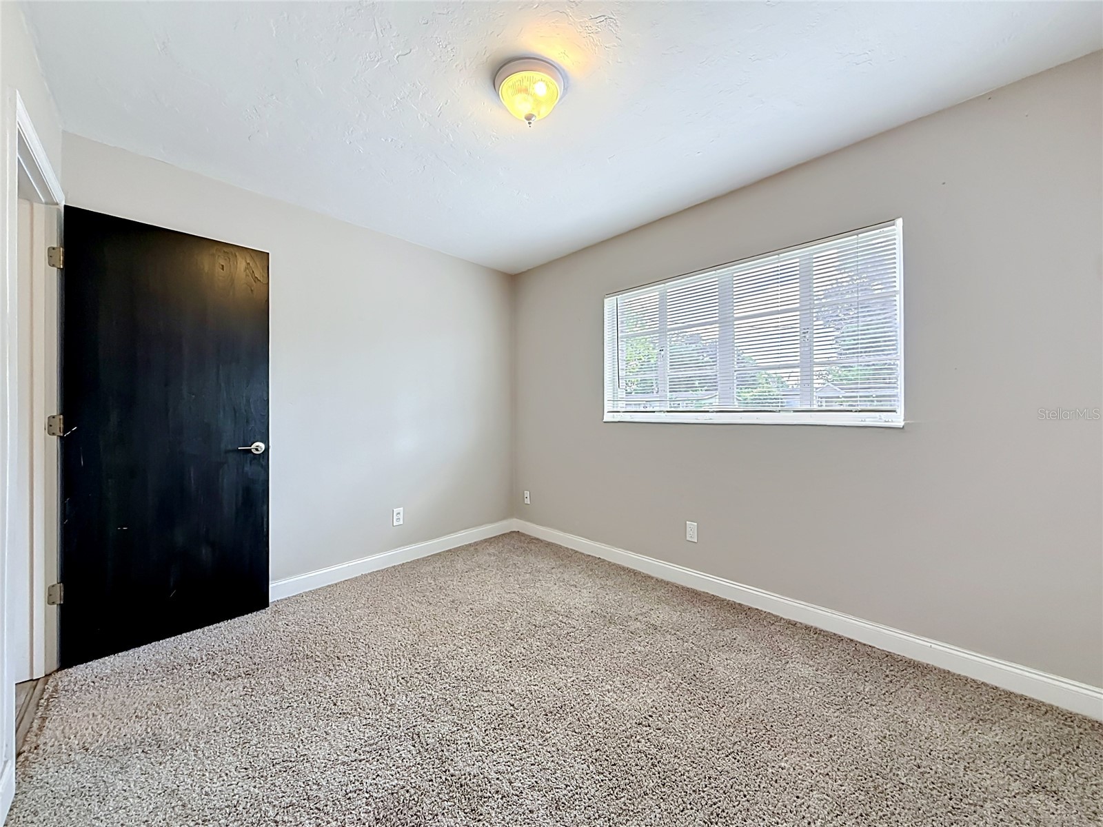 4509 S Hale Avenue Tampa FL 33611 TB8507153 image31