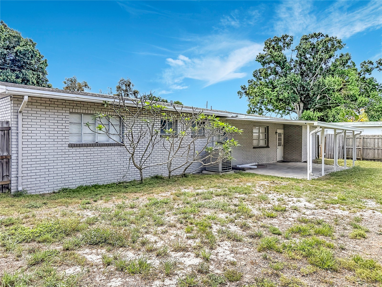 4509 S Hale Avenue Tampa FL 33611 TB8507153 image5