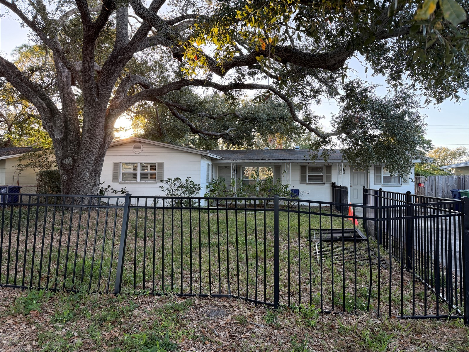 4509 S Renellie Drive Tampa FL 33611 TB8464819 image1