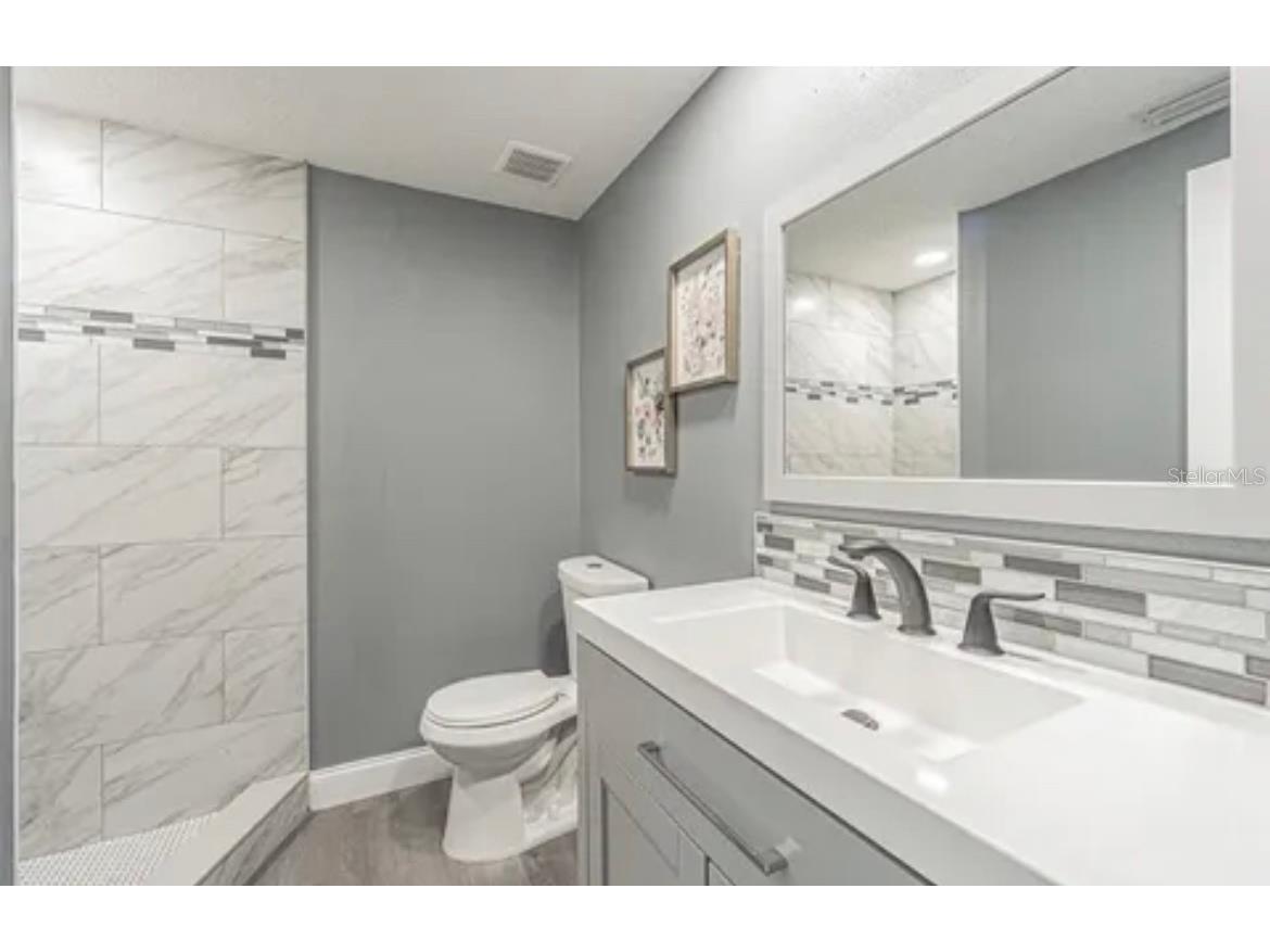 4509 Tidal Pond Road New Port Richey FL 34652 T3544762 image12