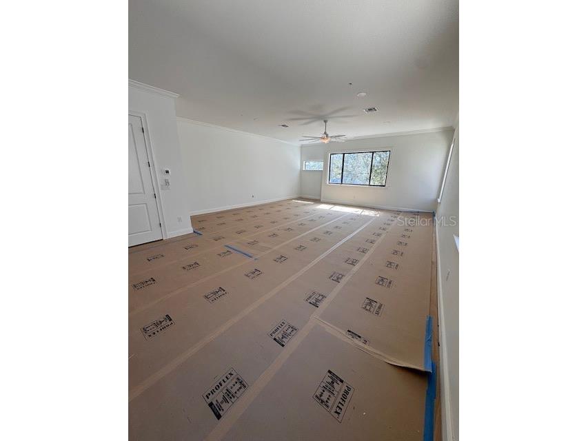 4509 W North A Street #1 Tampa FL 33609 TB8439799 image9