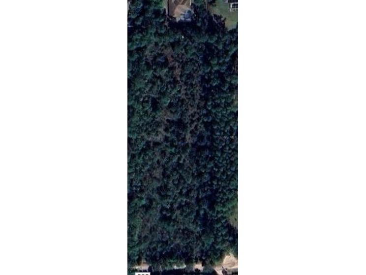 451 County Road 330 Bunnell FL 32110 FC312820 image4