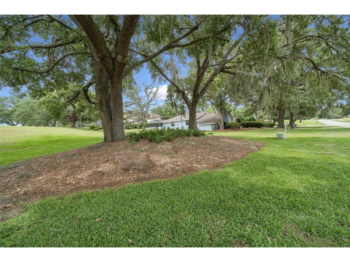 451 E Ireland Court Hernando FL 34442 OM702004 image43