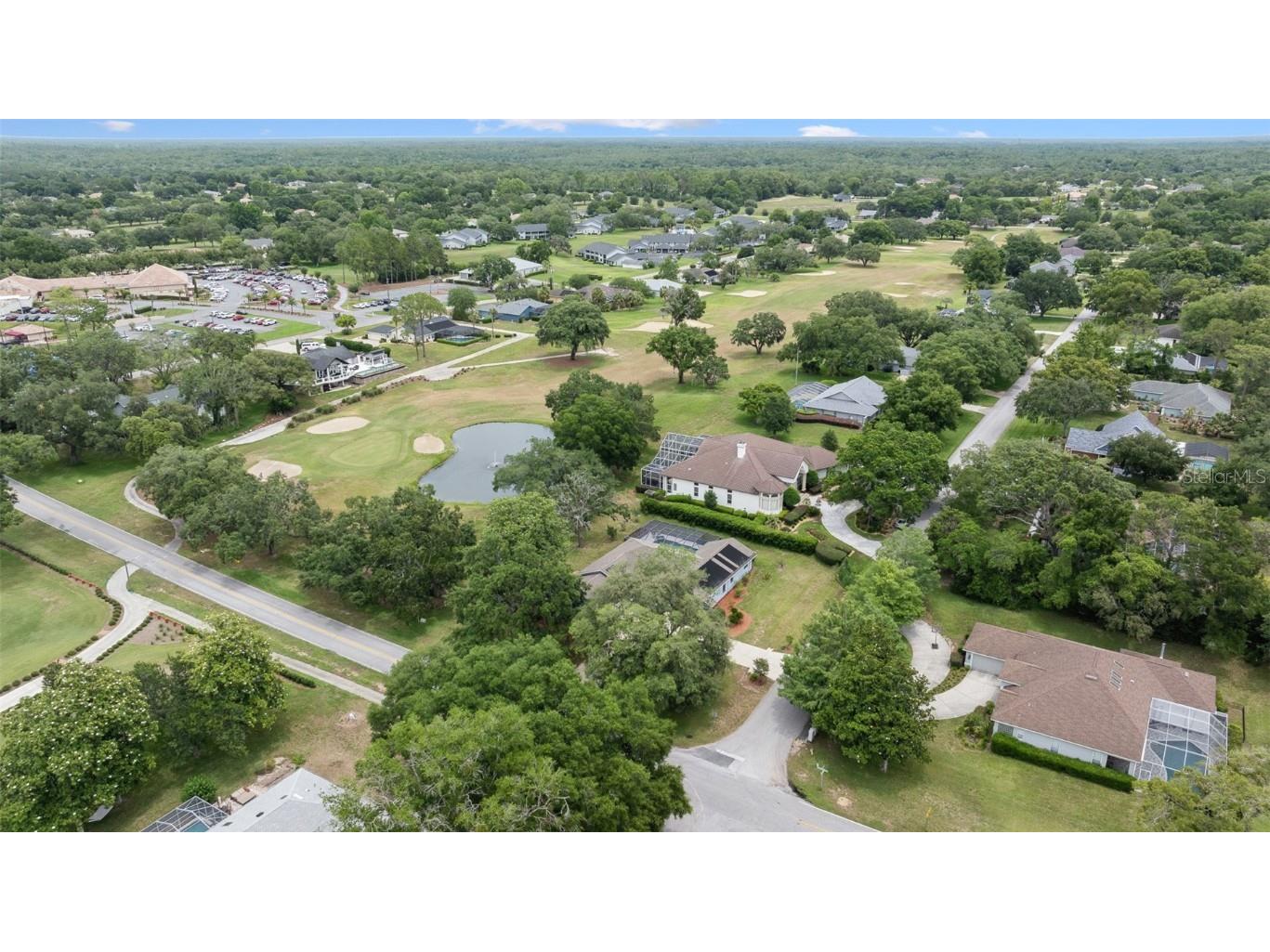 451 E Ireland Court Hernando FL 34442 OM702004 image47