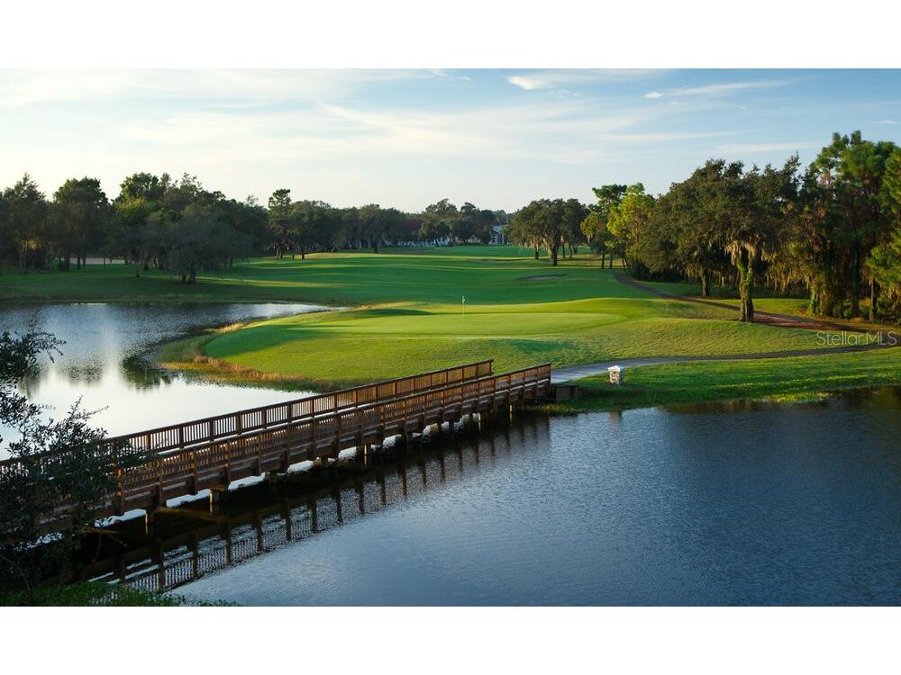 451 E Ireland Court Hernando FL 34442 OM702004 image53