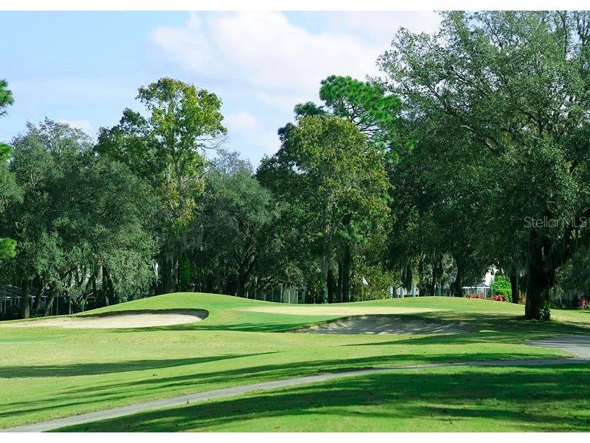 451 E Ireland Court Hernando FL 34442 OM702004 image54