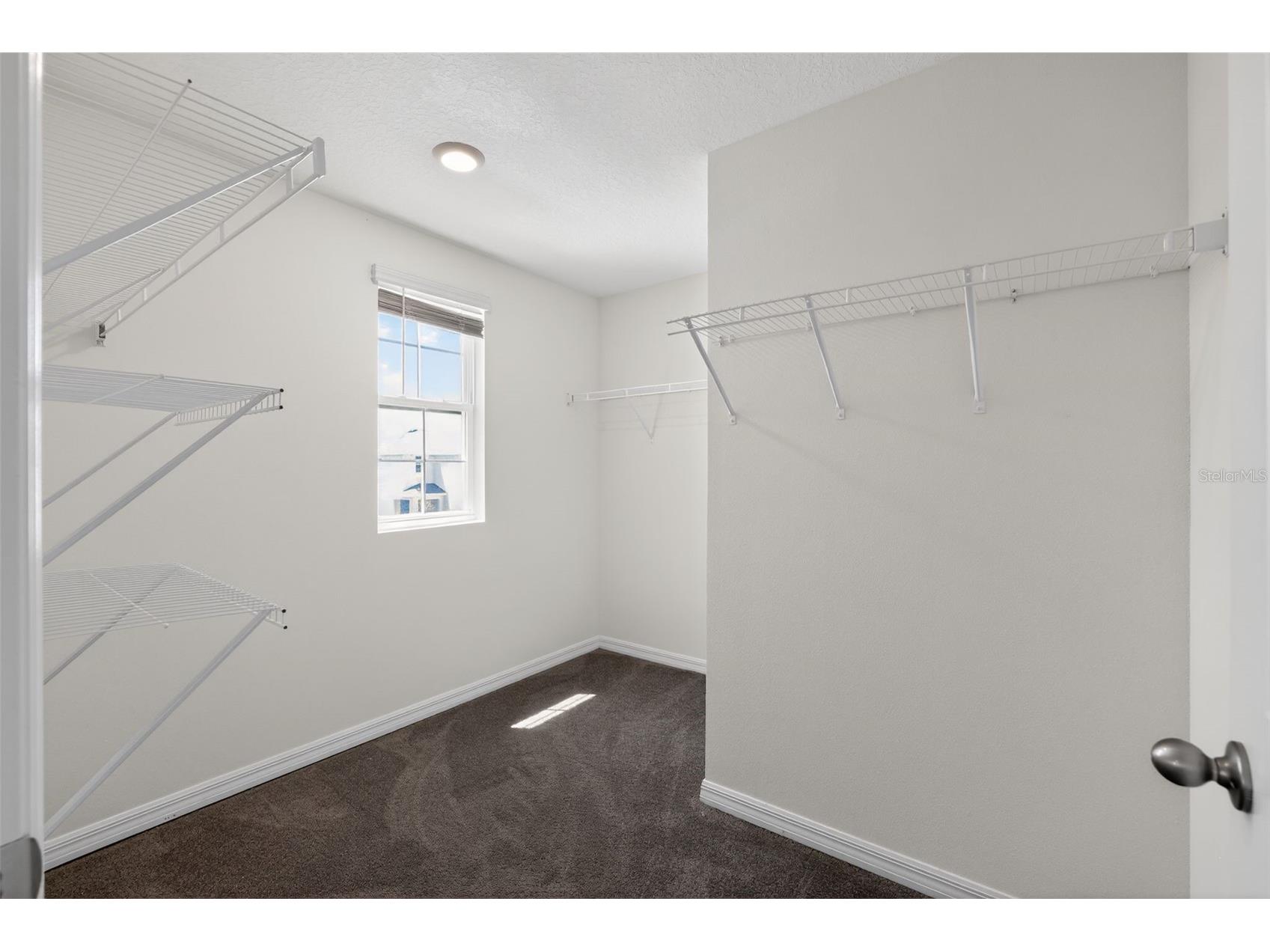 451 Sunlit Coral Street Ruskin FL 33570 O6397532 image16