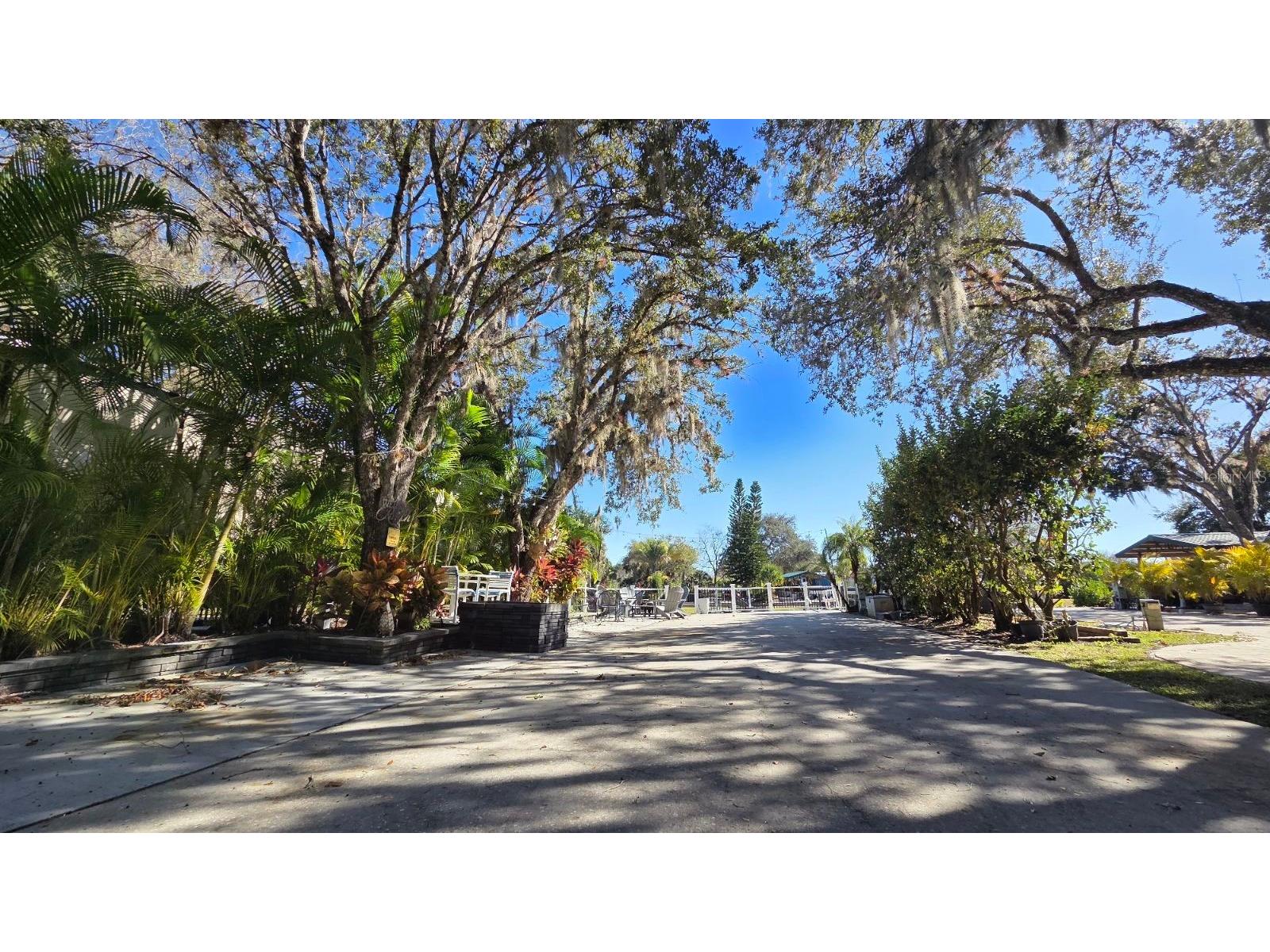 451 Waterway Drive River Ranch FL 33867 TB8464988 image5