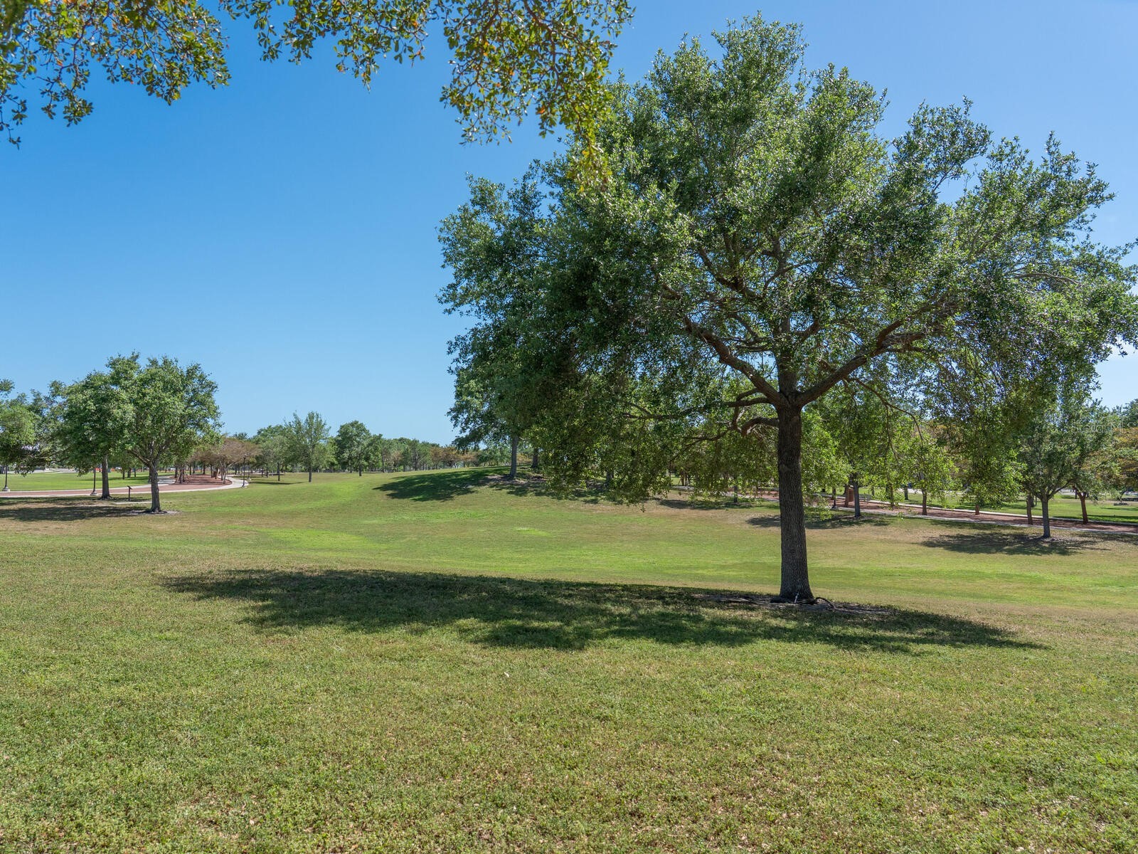 451 Wingfield Drive Sarasota FL 34237 A4678124 image38