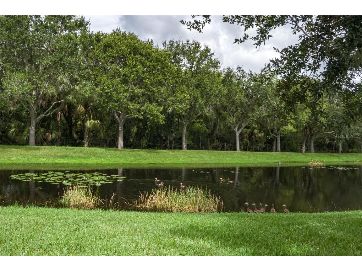 4510 29th Avenue Circle E Palmetto FL 34221 A4662704 image34