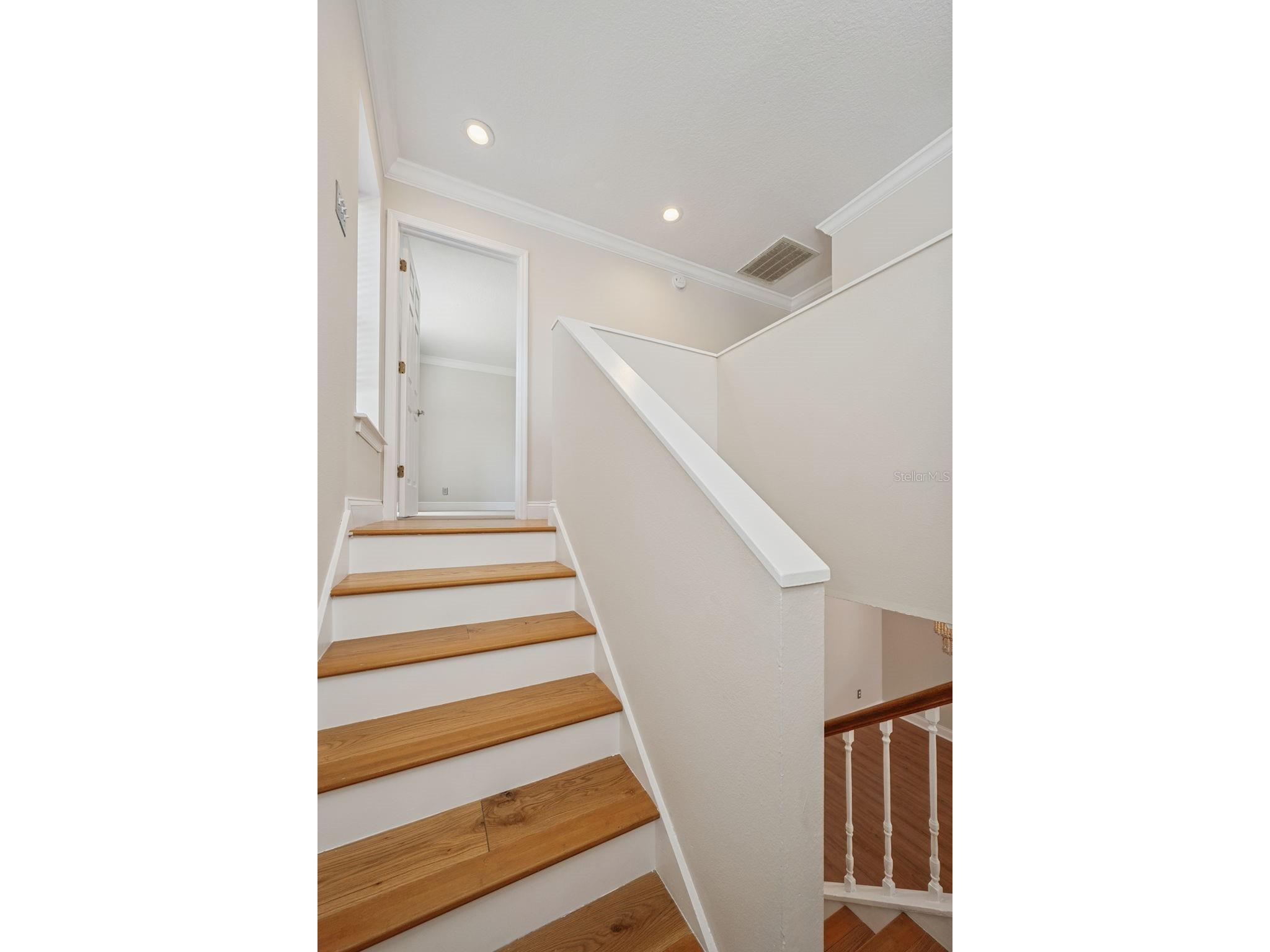 4510 W Fig Street #C Tampa FL 33609 TB8520146 image27