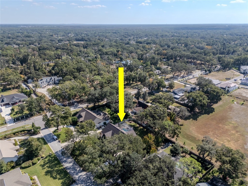 4511 Country Gate Court Valrico FL 33594 TB8442833 image61