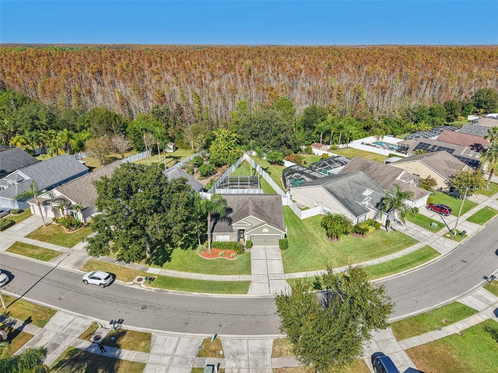 4511 Gulfwinds Drive Lutz FL 33558 TB8451598 image44