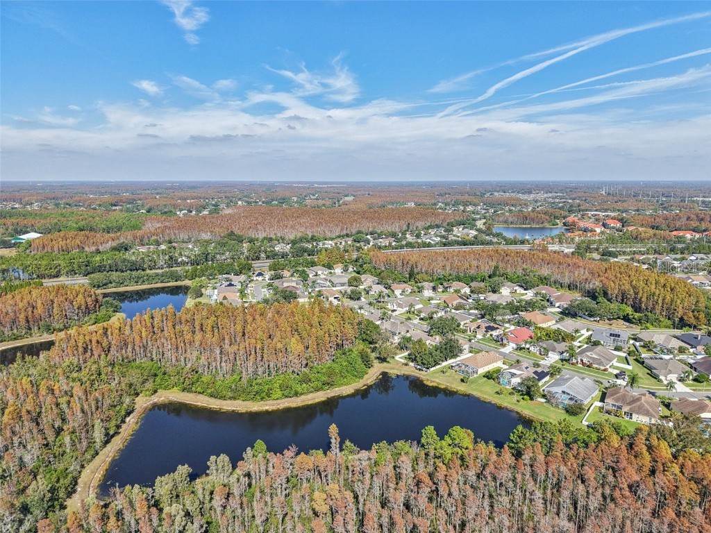 4511 Gulfwinds Drive Lutz FL 33558 TB8451598 image48