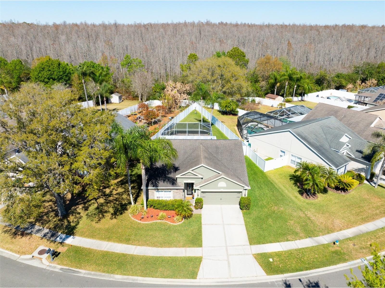 4511 Gulfwinds Drive Lutz FL 33558 TB8480532 image1