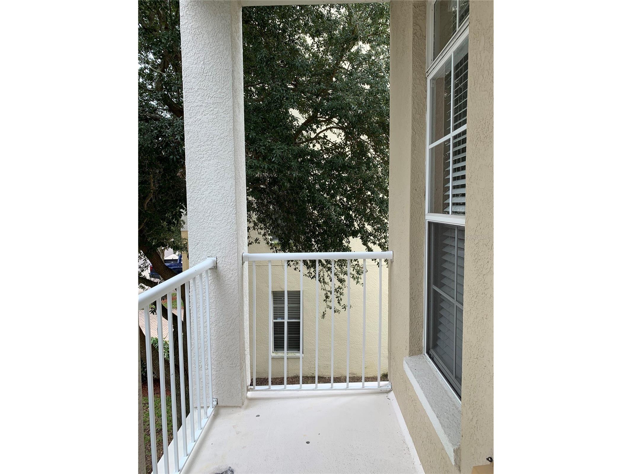 4511 Legacy Park Drive Tampa FL 33611 TB8424253 image15