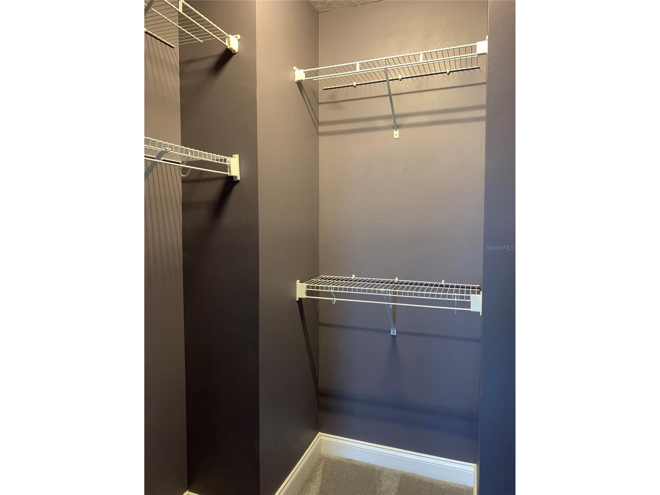 4511 Legacy Park Drive Tampa FL 33611 TB8424253 image18